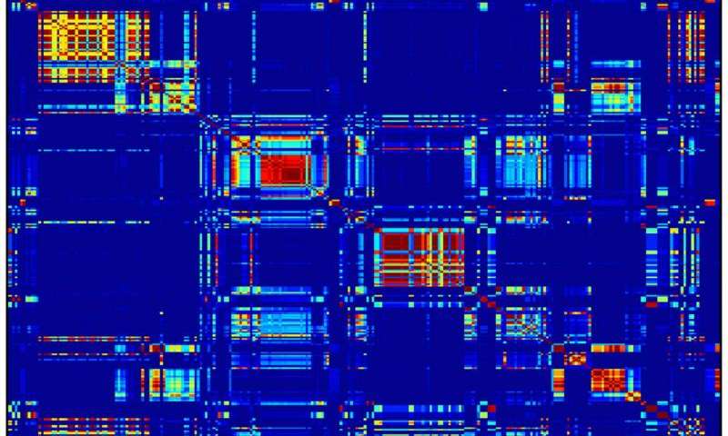 Neural Basis of Multitasking | Neuroscience