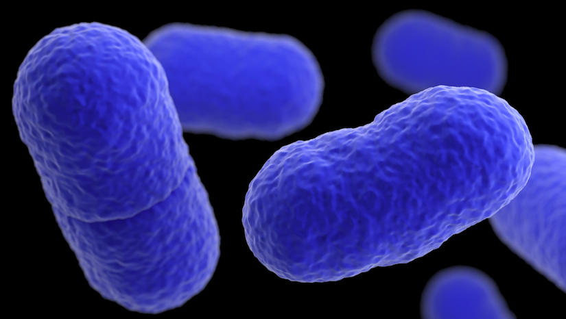 A 3D, computer-generated image of Listeria monocytogenes bacteria, based on SEM imagery. / Credit: CDC/ James Archer