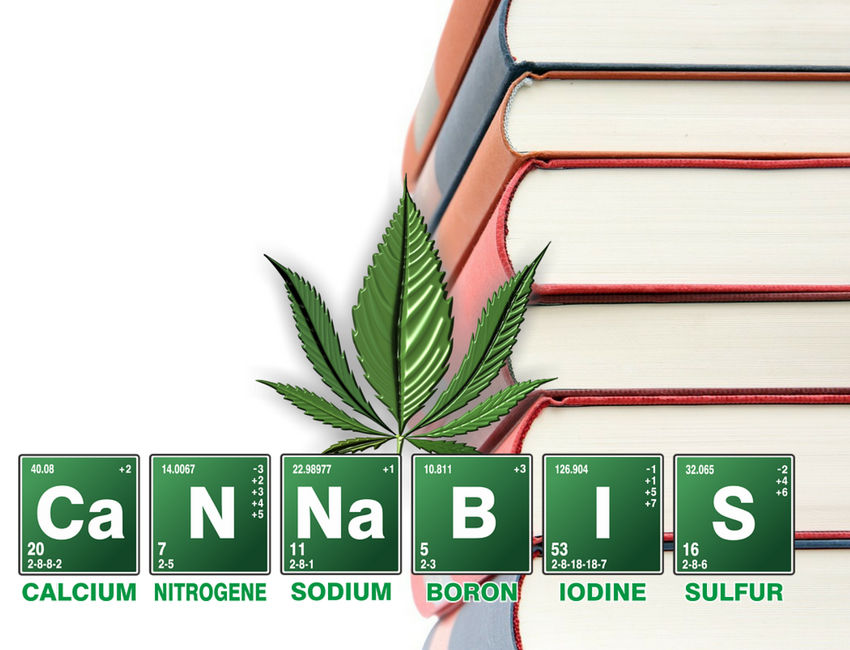 First Medicinal Plant Chemistry Bachelor�s Degree in the