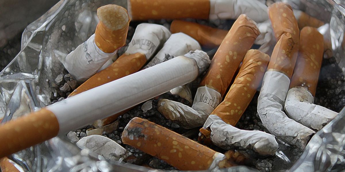 what is the link between heredity and tobacco addiction apex The Genetics Reasons You're Addicted to Cigarettes