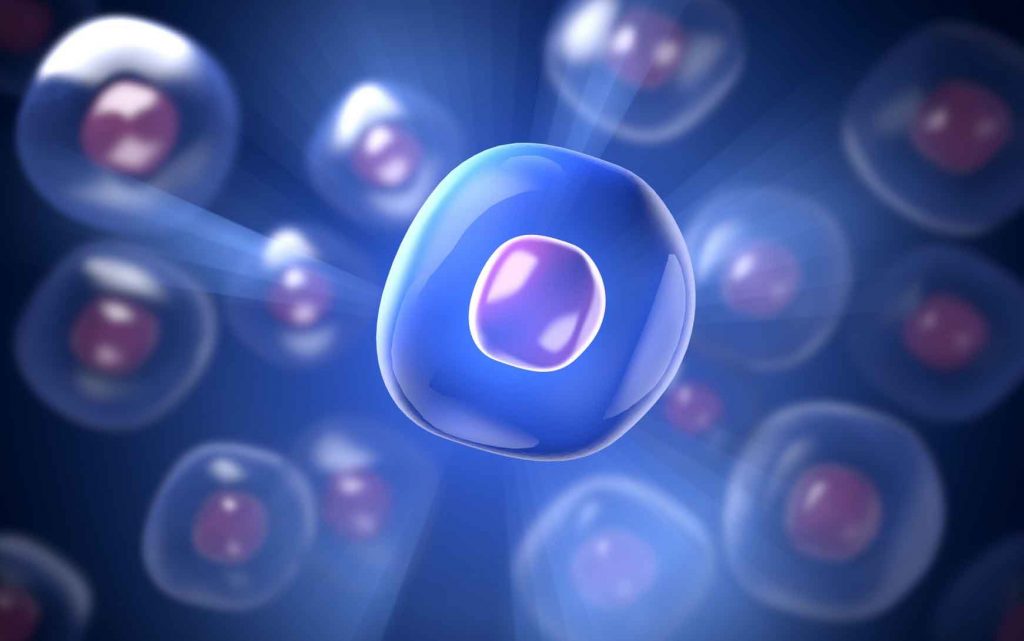 The key to a high yield lies in the making sure that there is abundant presence of cells