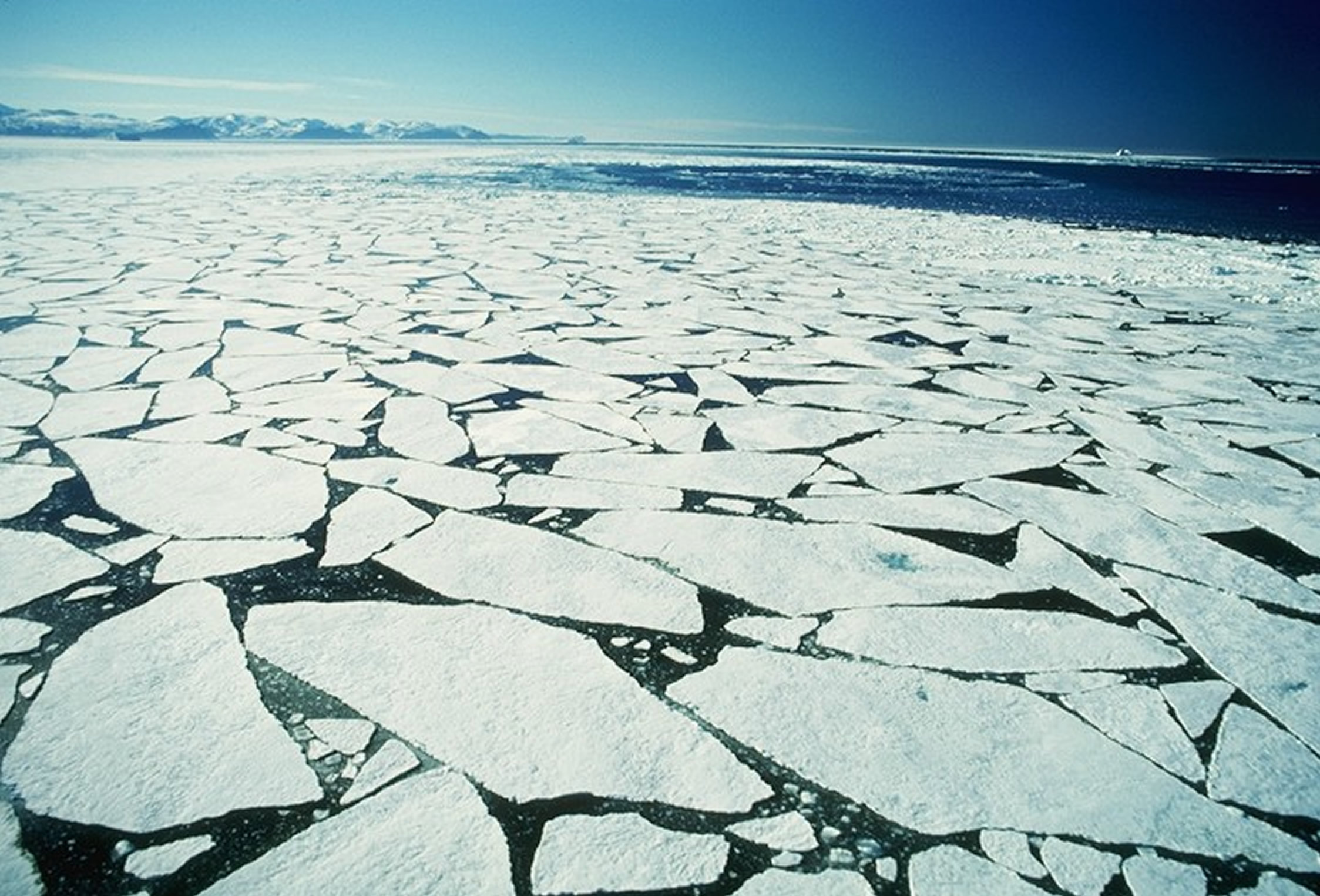 Is the Arctic Ocean turning into the Atlantic? Earth And The Environment