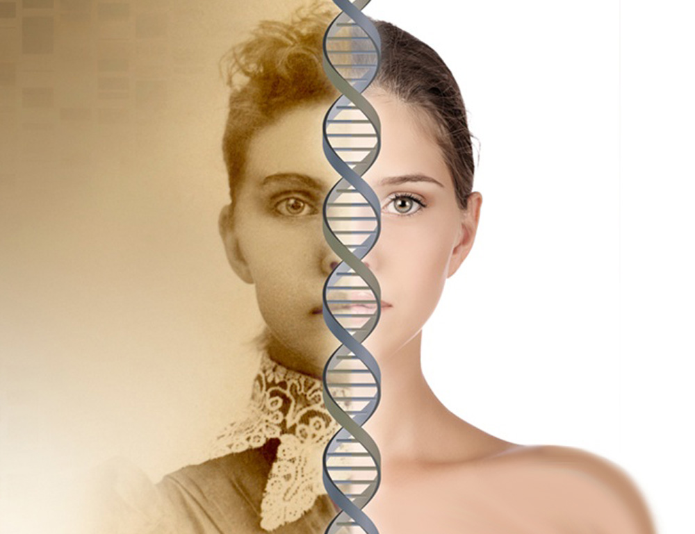 personality genetically inherited or developed essay personality genetically inherited or developed essay