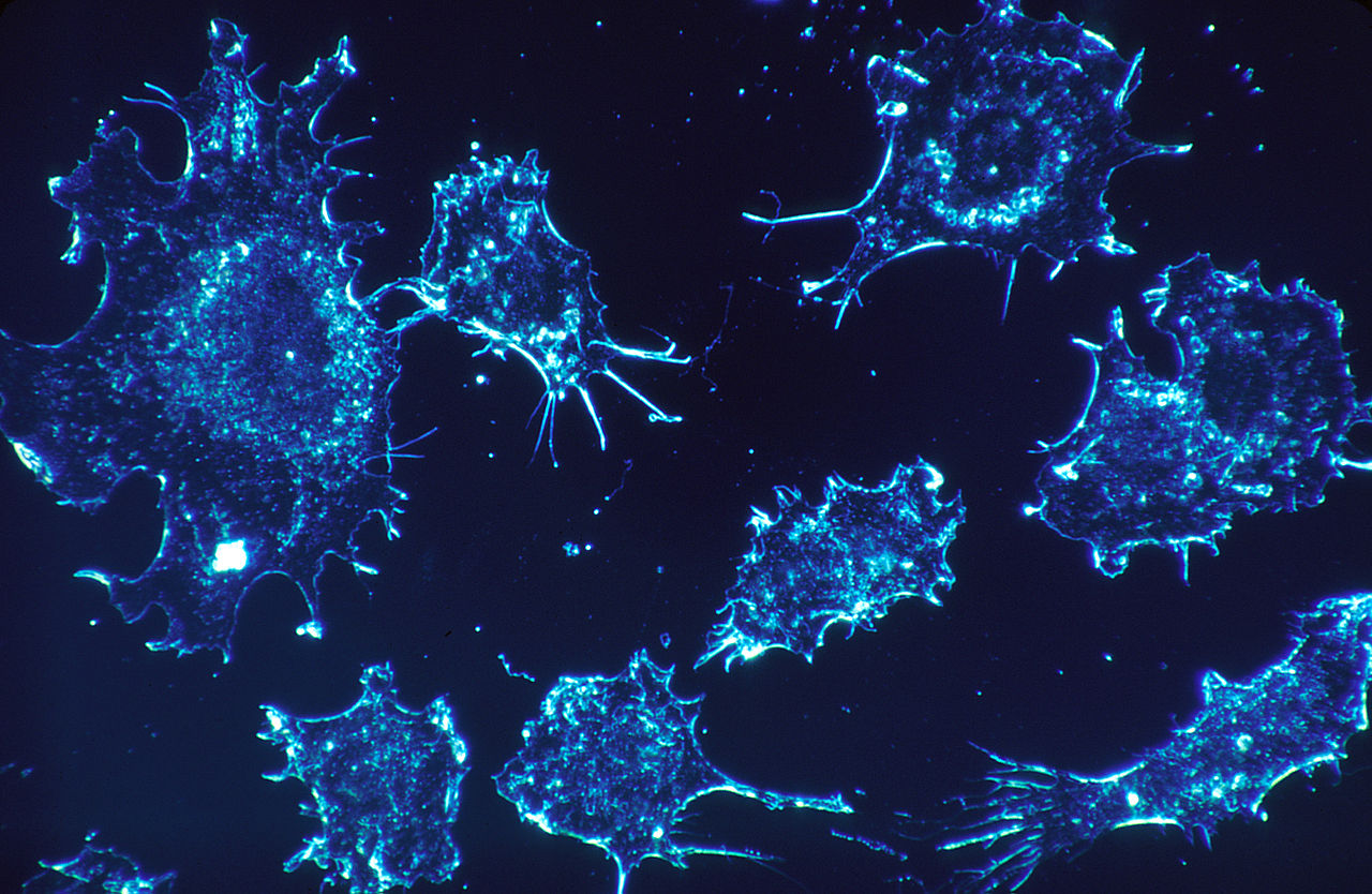 Some cells have Some cells have