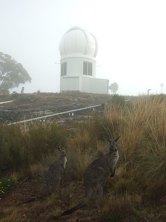 Siding Spring Observatory Australia is home to the SkyMapper Telescope and kangaroos too. Siding Spring Observatory Australia is home to the SkyMapper Telescope and kangaroos too.