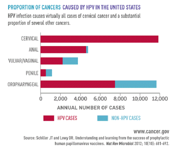 This image is from the National Cancer Institute's Building on Opportunities in Cancer Research: An Annual Plan and Budget Proposal for Fiscal Year 2016. This image is from the National Cancer Institute's Building on Opportunities in Cancer Research: An Annual Plan and Budget Proposal for Fiscal Year 2016.