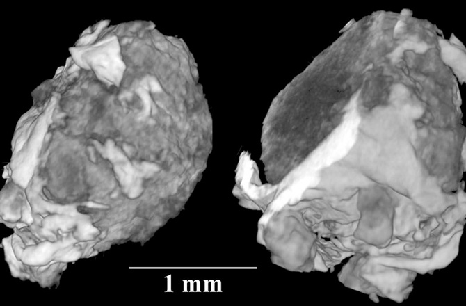 X Ray tomography of the crystal found inside a 15,000 year old meteorite X Ray tomography of the crystal found inside a 15,000 year old meteorite