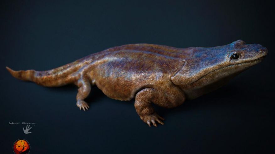 An artist's rendition of a previously unknown species of crocodile-like An artist's rendition of a previously unknown species of crocodile-like