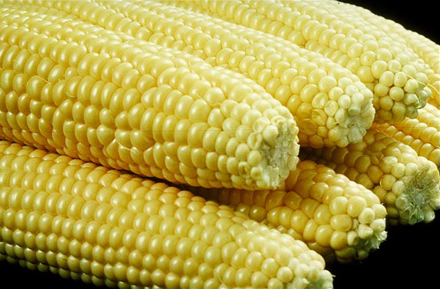 Removing corn residue from the soil can increase greenhouse gas emissions Removing corn residue from the soil can increase greenhouse gas emissions
