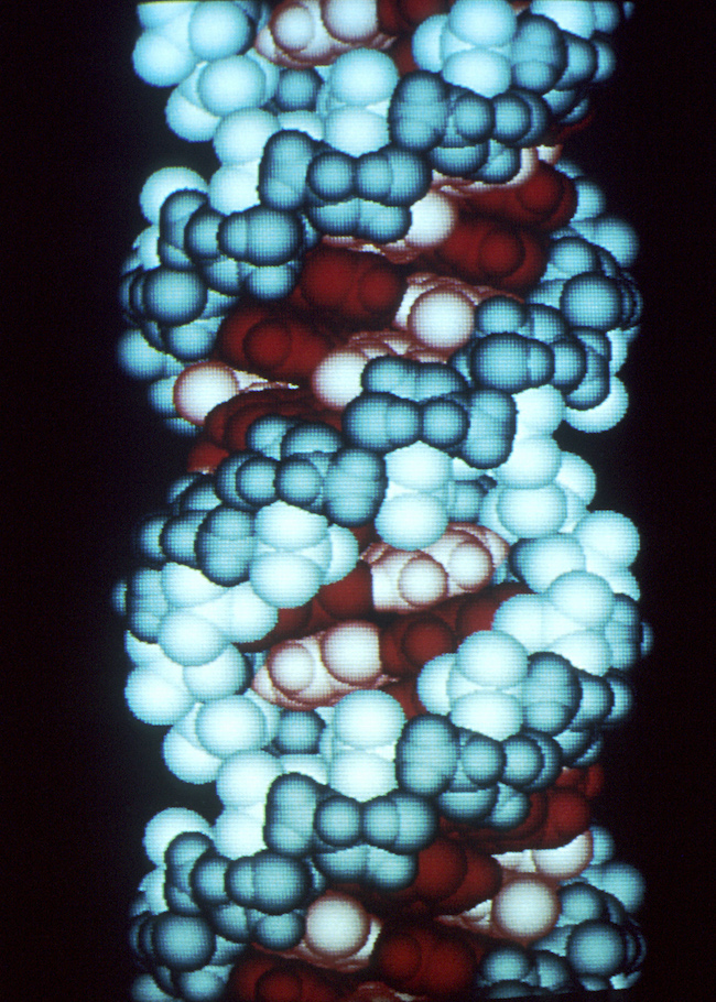 Computer graphic of an RNA molecule Computer graphic of an RNA molecule